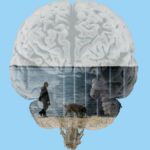 Gerçeği söyleten ilaç: Sodyum pentotal veya doğruluk serumu