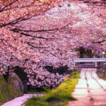 anneler günü tarihi kökeni