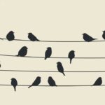 Elektrik telindeki kuşları neden elektrik çarpmıyor?