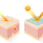 gunes kremi deri uv isini