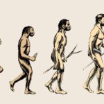 İnsan atalarında iki ayak üzerinde yürümenin tarihi