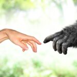 İnsan bir gün yok olacak mı?