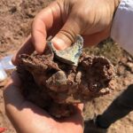 Asya kökenli bir Brontothere memelisinin üst azı dişi.