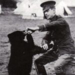 Winnie the Pooh'un dayandığı tarihi öykü