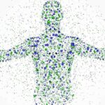 İnsan vücudu hangi elementlerden oluşuyor?