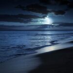 Ay Dünya'daki yaşamı nasıl yönlendiriyor?