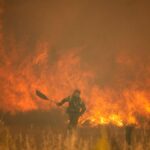 Aşırı hava sıcaklığının dünyadaki etkileri