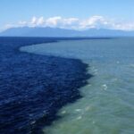 Dünya'da bazı suların birbirine karışmadığı doğru mu?