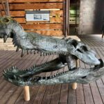 Timsahlar dinozor avladı Confractosuchus sauroktonos