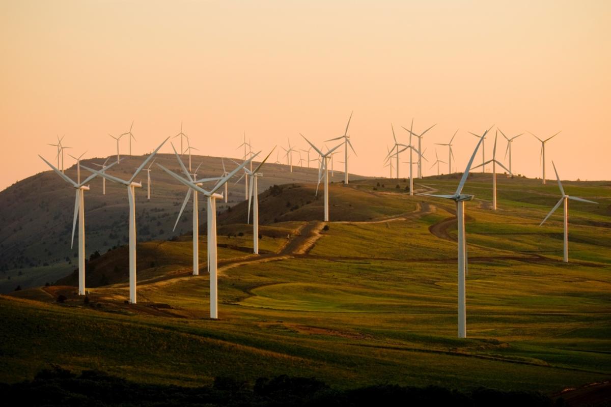 Yenilenebilir Enerji Türleri ve Geleceği 2 Yenilenebilir enerji: Türleri, nasıl çalıştıkları ve geleceği