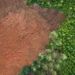 Çölleşme nedir Nasıl ve neden yaşanıyor, etkileri ve çözümleri