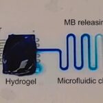 Dopamin salgılayabilen yapay nöron geliştirildi