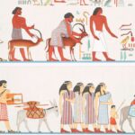 mısır ikinci ara dönemi