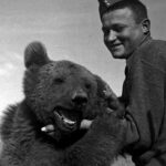 wojtek