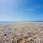 Great Pacific garbage patch