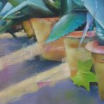 küçük saksılarda bitki resmi