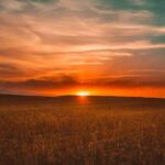 alacakaranlık akşam karanlığı