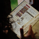 fondo experiencia bibliogemma