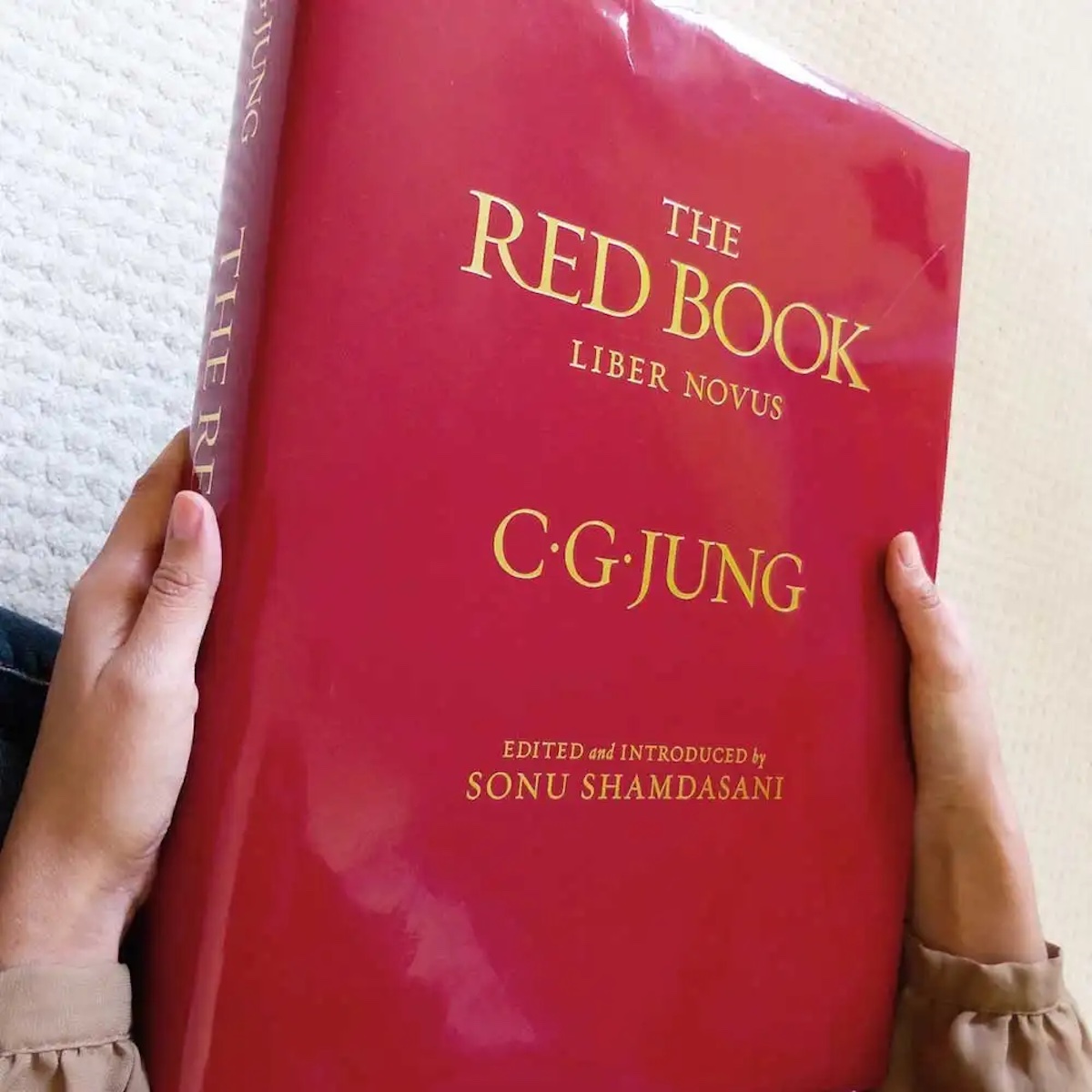 Carl Jung'un Kırmızı Kitabı (Liber Novus) Nedir? 5 Sonu Shamdasani'nin Carl Jung'un Kırmızı Kitap'ının 2009