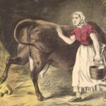 Bayan O'Leary ve ineğini tasvir eden litografi, Chicago Tarih Müzesi (Kaynak: Wikimedia Commons)