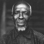 cudjo lewis landscape