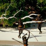 kuzey sentinel adası