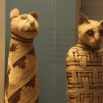 1620px British museum Egypt mummies of animals 4423733728