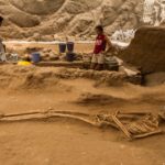 11philistine1 superJumbo transformed