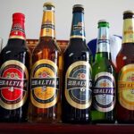 rusya bira markaları