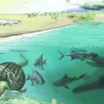 tetis okyanusu denizi