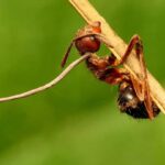 original 1 iKNO3qgwx transformed transformed