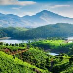 Hindistan'ın Batı Gatları