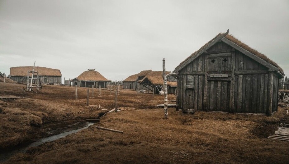 Vikingler Nasıl Beslenirdi? 2 Höfn, İzlanda'da bir film seti için oluşturulmuş bir Viking çiftliği modeli.