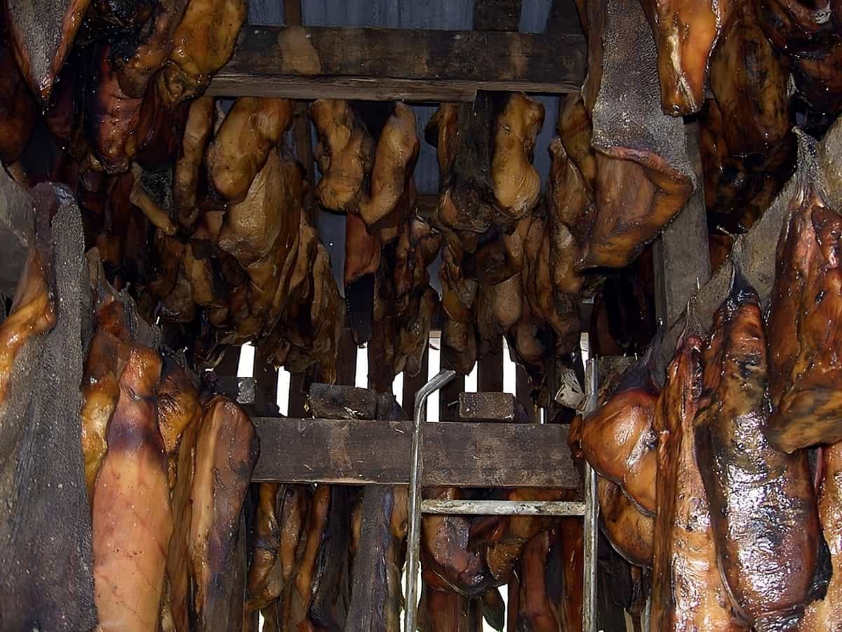 viking köpekbalığı yemek