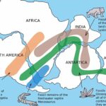 b629ee2e 1e74 4172 a5bc 05fbccb7f412 transformed