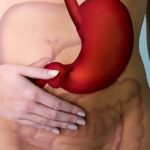 Appendix