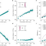 Pauli motorunun performansı. Kuantum motoru