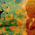 Retiküler Aktive Edici Sistem Retiküler aktivasyon Sistem