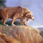 smilodon kılıç dişli kedi