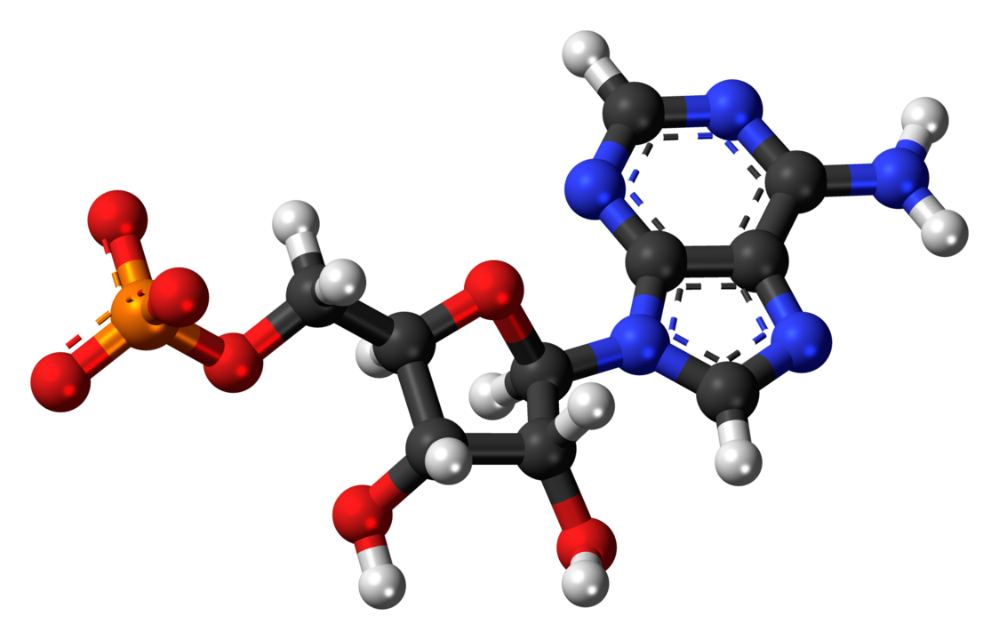 adenozin monofostat