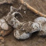 afyon 3500 yıl fosil