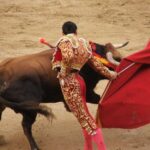 boğa kırmızı renk