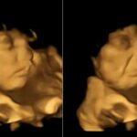 doğmamış bebek anne yemekleri