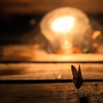 Böcekler Neden Işığa Çekilir?