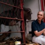 jane goodall