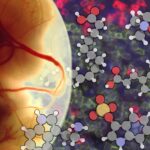 Annenin Mikrobiyotası Fetal Gelişimi Etkileyebilir