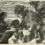 Vahşi doğada ilk insanların on dokuzuncu yüzyıldan kalma konsepti