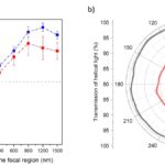 Amorf katılarda sarmal dikroizm