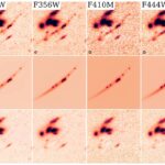 Firefly Sparkle in 11 JWST/NIRCam and NIRISS