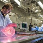 PdxErTe3 bragg cam fazı